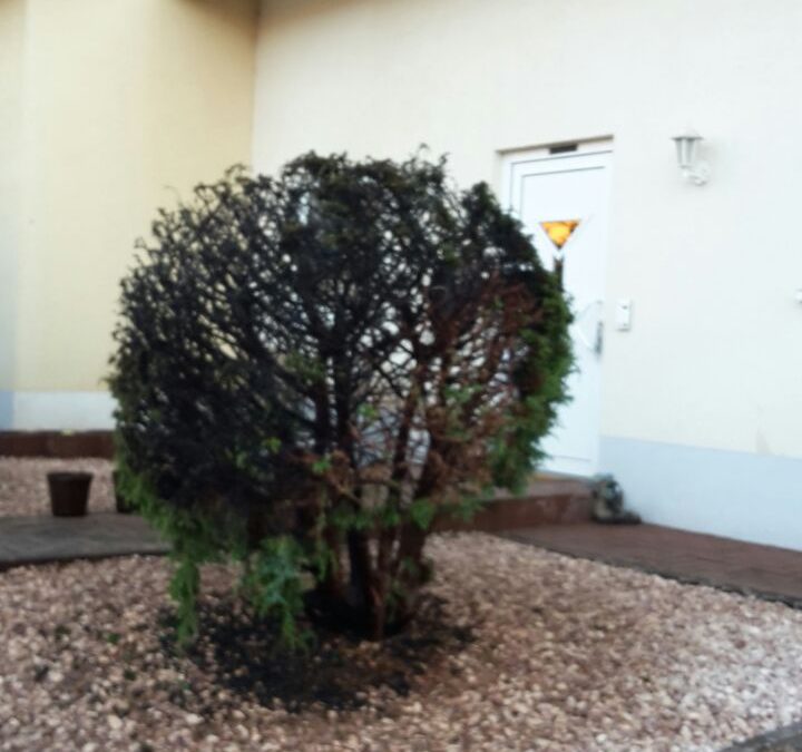 081 – 18.06.2017 – Brand von Hecken – Spesbach