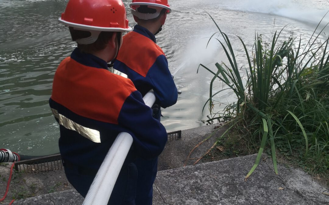 Jugendfeuerwehr rettet Fische vorm Ertrinken