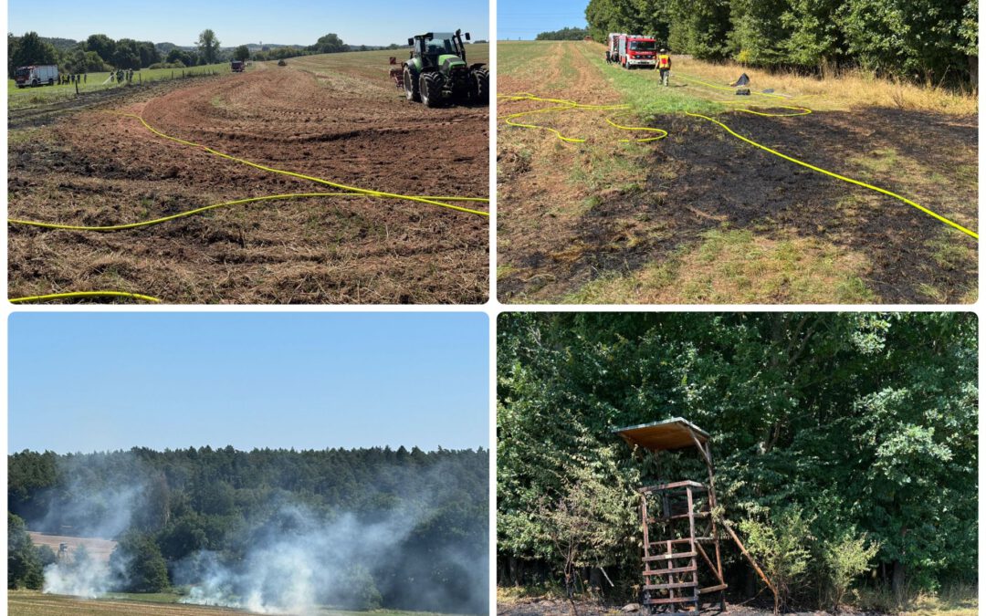 170 / N016 – 11.08.2025 – Flächenbrand
