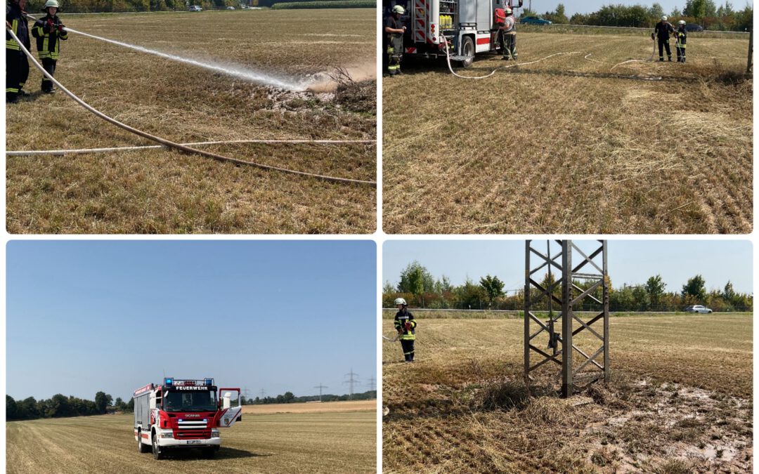 173 / N017 – 13.08.2025 – Flächebrand klein – Katzenbach