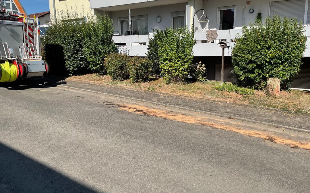 179 – 25.08.2025 – auslaufende Betriebsstoffe aus PKW – Steinwenden