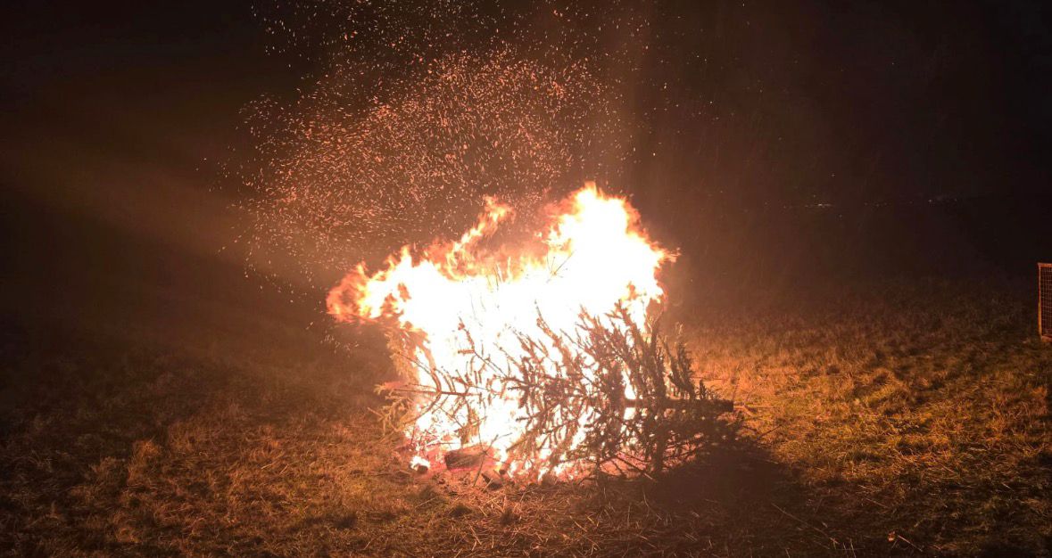 N01 – 09.01.2026 – BSW – Hütschenhausen